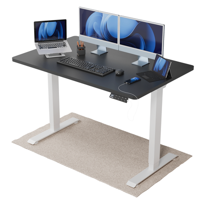 Intellidesk Eco Dual Height Adjustable Standing Desk