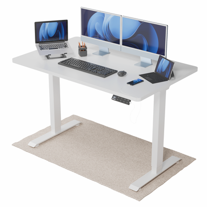 Intellidesk Eco Dual Height Adjustable Standing Desk