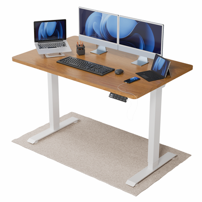 Intellidesk Eco Dual Height Adjustable Standing Desk